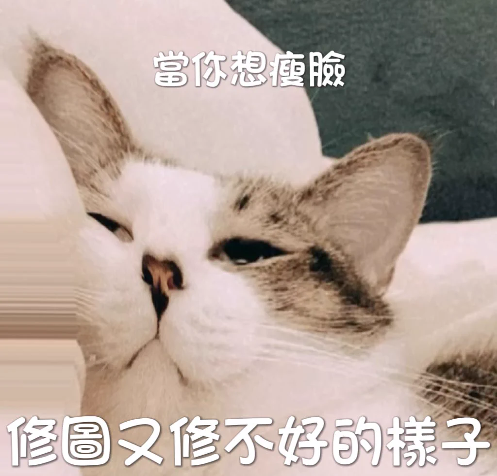 修到認不出來～#只有胖貓受傷的世界達成了 https://t.co/fDlDs7HA1I