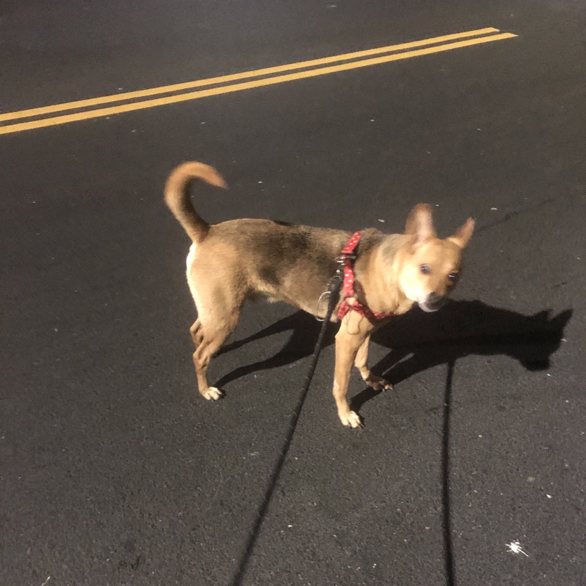 （驚） https://t.co/LFk46DTE6Q