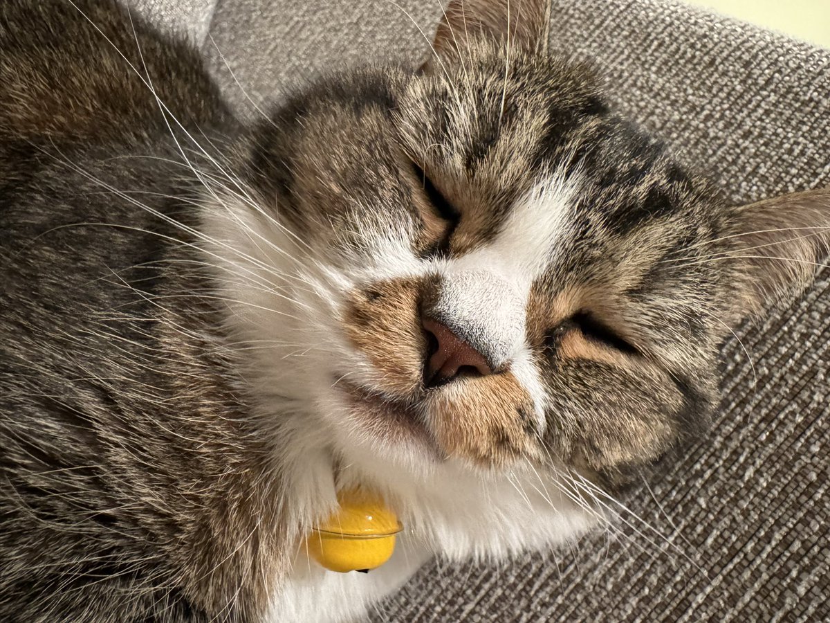 おそごま https://t.co/rPkMrWm8Xa