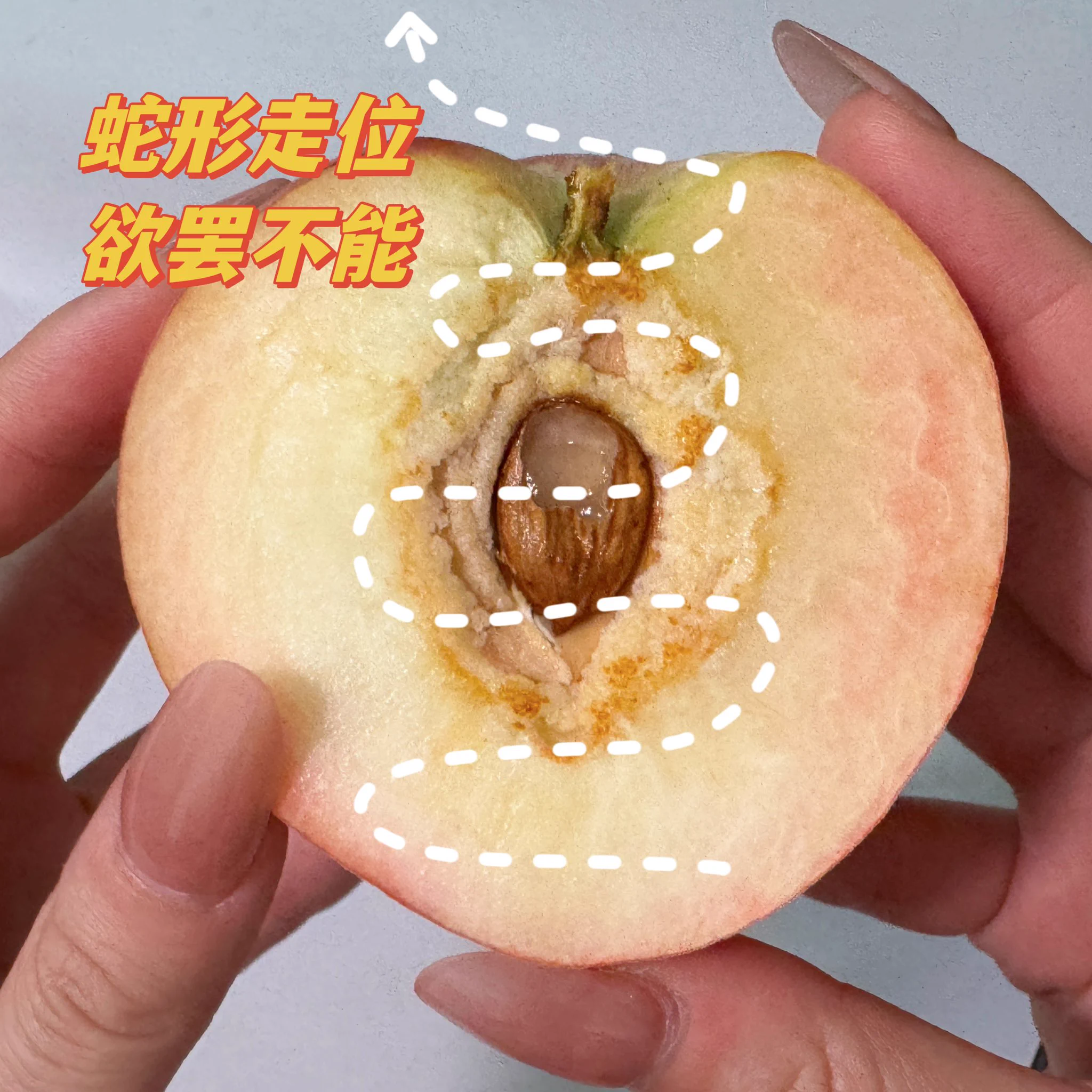 怎么样！评论区会有人发好看的舔舔实录吗！请你吃龙泉蜜桃！！没有的话我自己录哈哈哈 https://t.co/jVqpEzpoOR