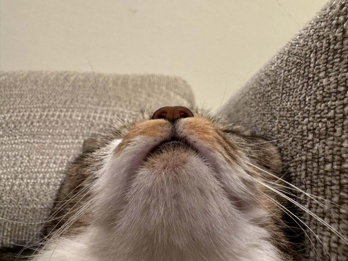 おそごま https://t.co/dBSCal4WVQ