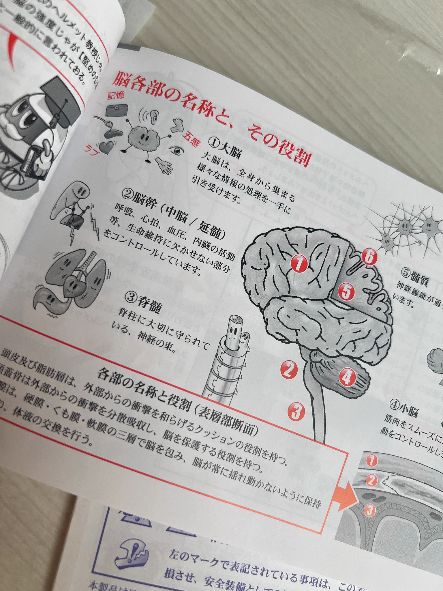 説明書が脳みその説明でびっくり😧 https://t.co/B1xphu0p5U