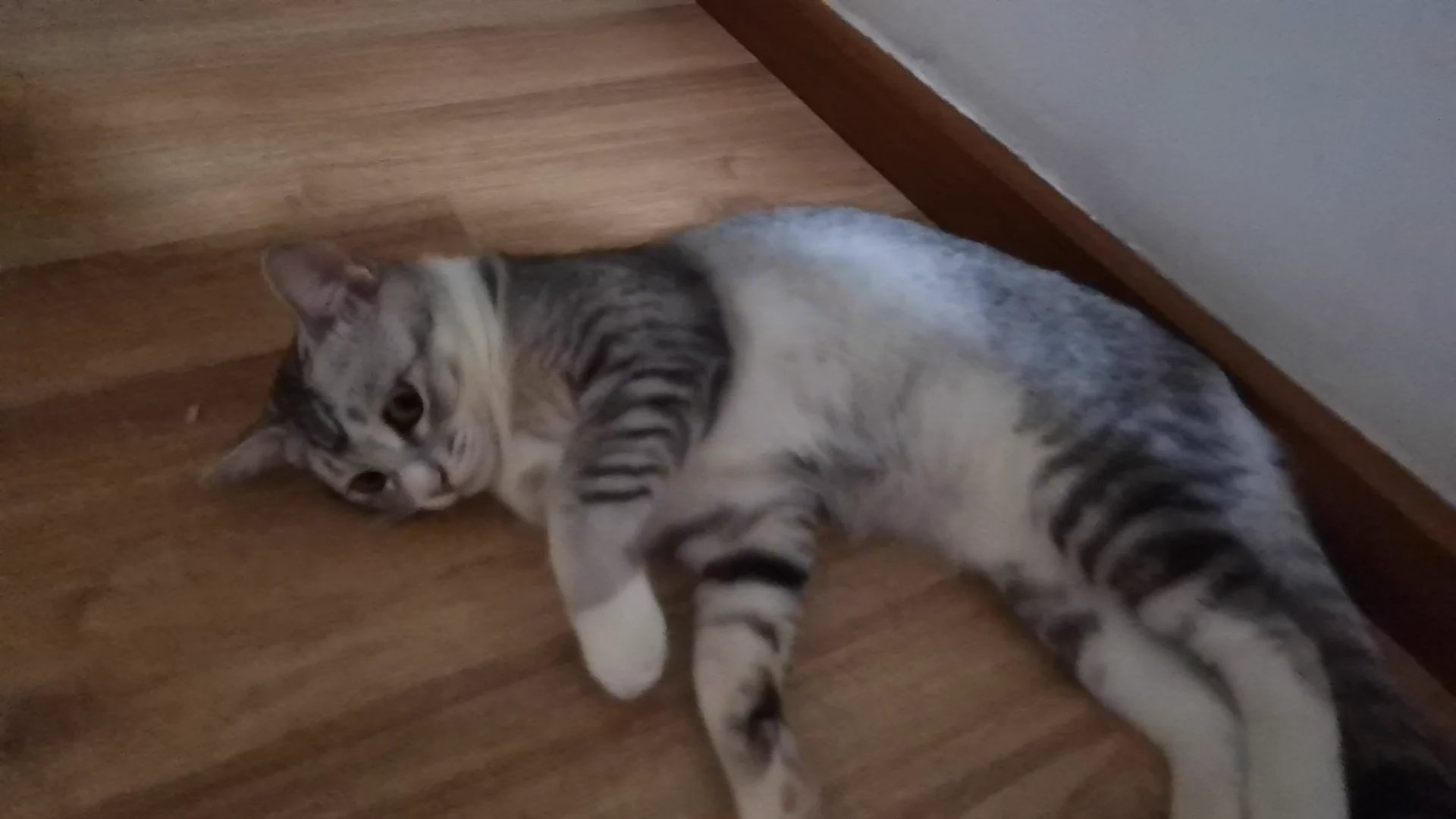 在上班，想小肥猪了 https://t.co/qZdHZMYWnz