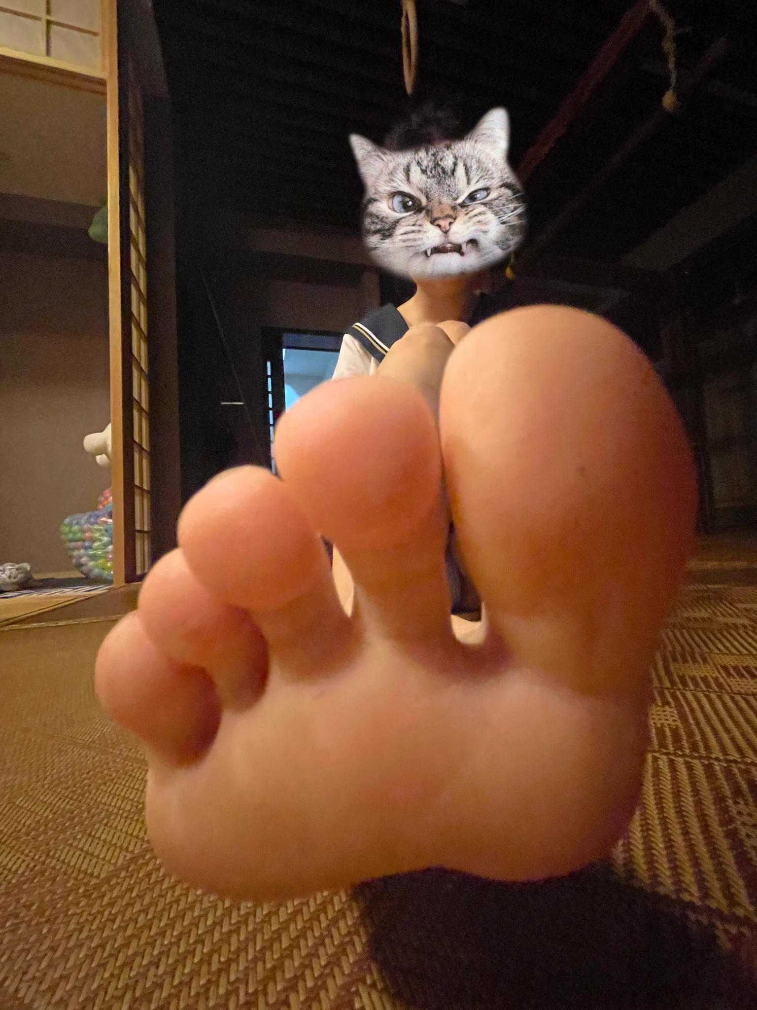 实况，手机摄影，表情包 https://t.co/n9lQsT3feG