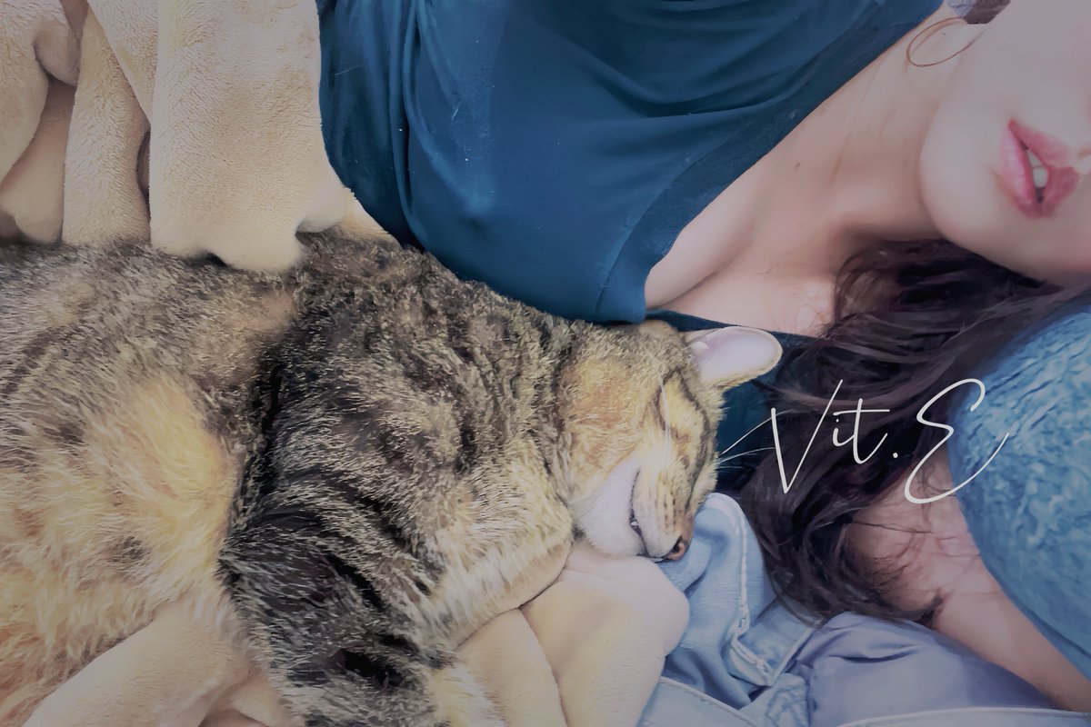 有些關係在開始時就知道會結束
但人是不信邪的生物
無論友情愛情
再不適合都以為事在人為

當然最終走著走著 還是散了
回頭看只會覺得埋頭努力的自己真可笑

我們就相信自己的第六感，好嗎？

#三寶是隻話癆胖貓咪 https://t.co/blxXa6B4vH