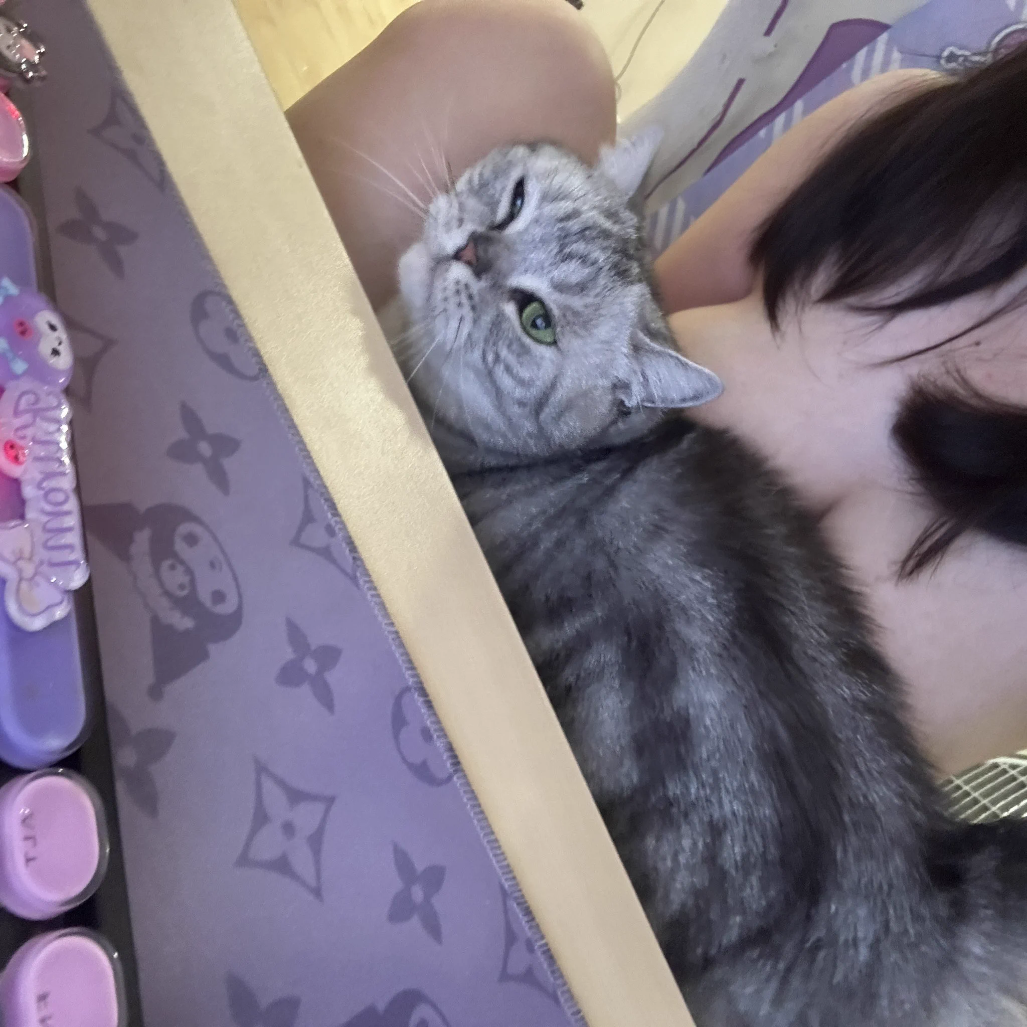 当你真的有事做的时候小猫就寂寞了 https://t.co/y7nJf7dQcx