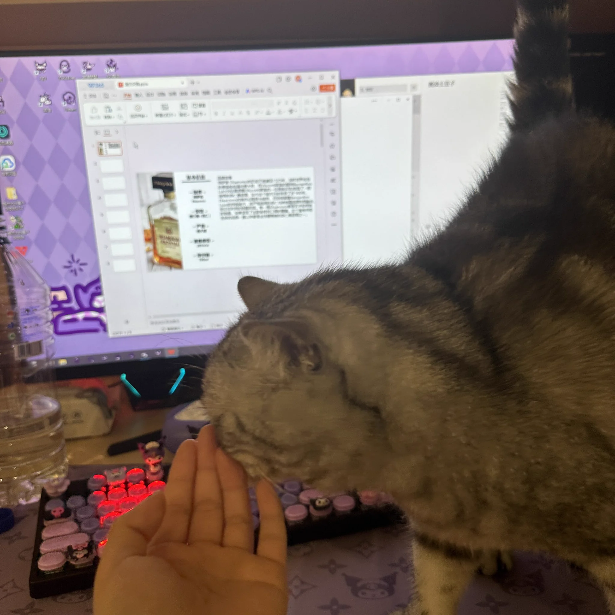 当你真的有事做的时候小猫就寂寞了 https://t.co/y7nJf7dQcx