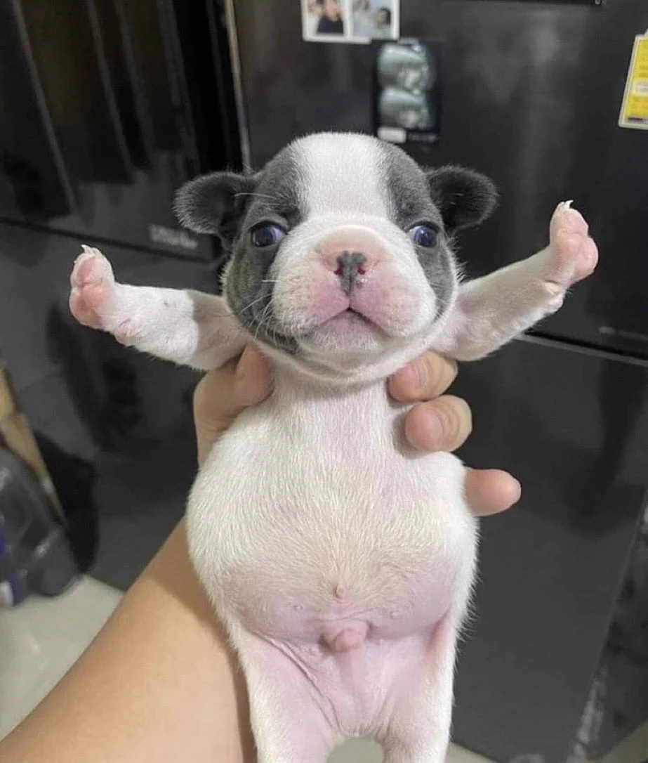 STOOOOOOOOP FIGHTIIIIIIIIIIING!!!!!! https://t.co/NC0lzGI7lh
