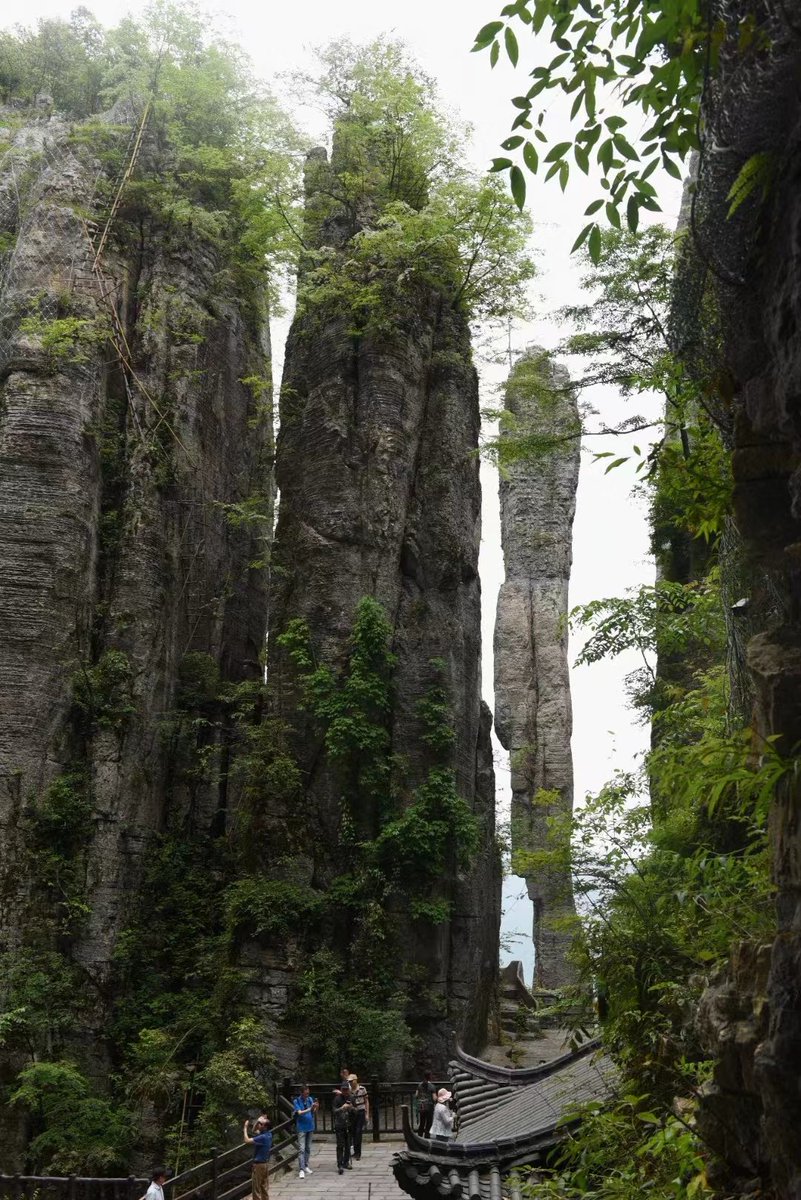 闺蜜一个人跑去泰山玩了，是不是扔下我不管了？ https://t.co/LV8EaPT0iF