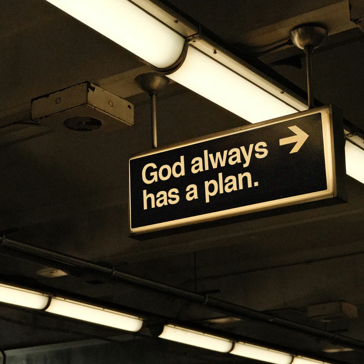 “For I know the plans I have for you,” declares the Lord, “plans to prosper you and not to harm you, plans to give you hope and a future.” Jeremiah 29:11 https://t.co/kA1cVeOxYv