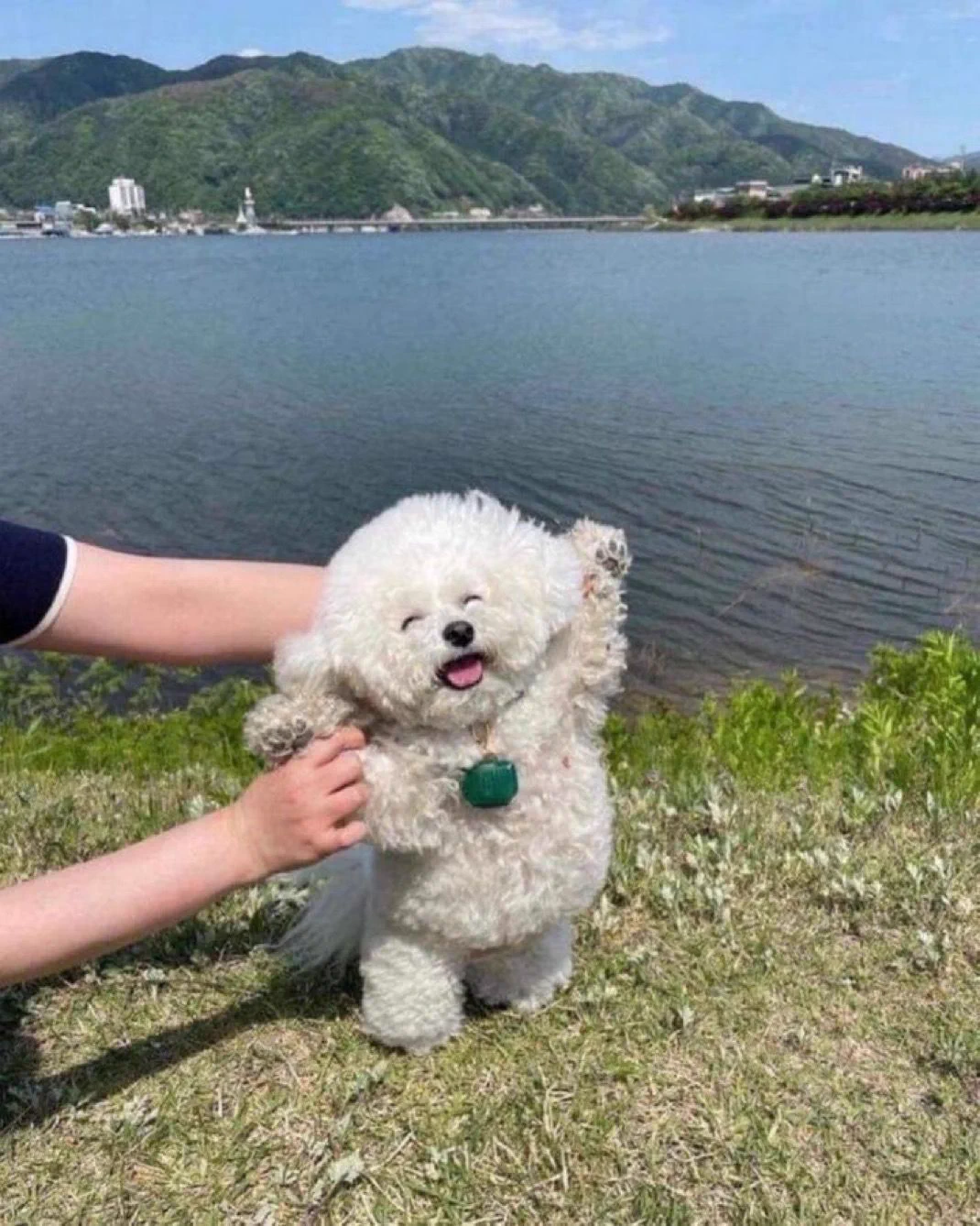 😄 https://t.co/AVhdwp5fUz