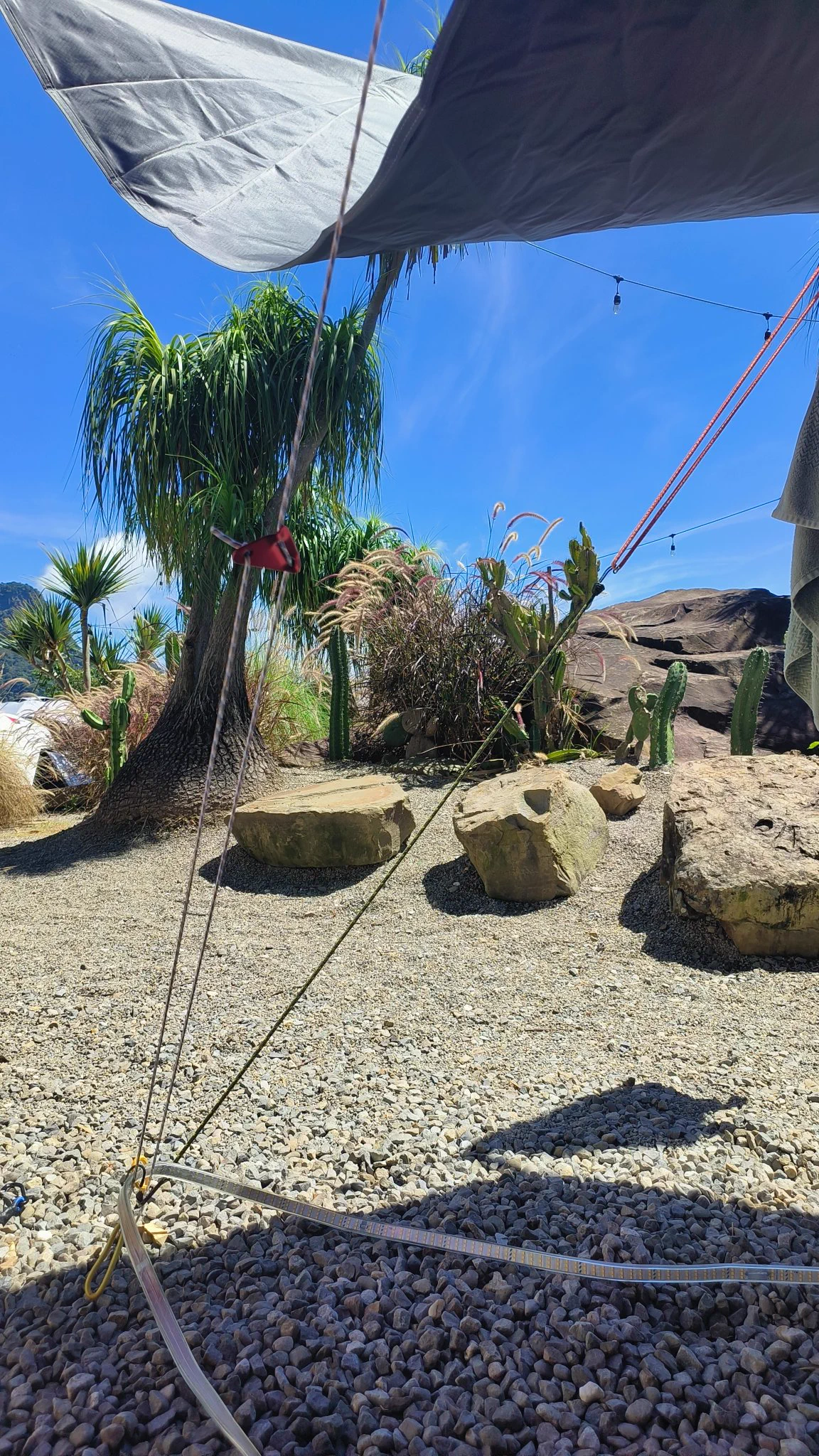 耍廢的露營耍廢的假日☀️有仙人掌的營區🌵美式沙漠造景🌴晚上在仙人掌裡壞壞會痛又有點刺激感👻#露營趣#聯誼#小酌#歡唱#過夜遊#同房換#假日時間永遠不夠用 https://t.co/OaDDF16IyV