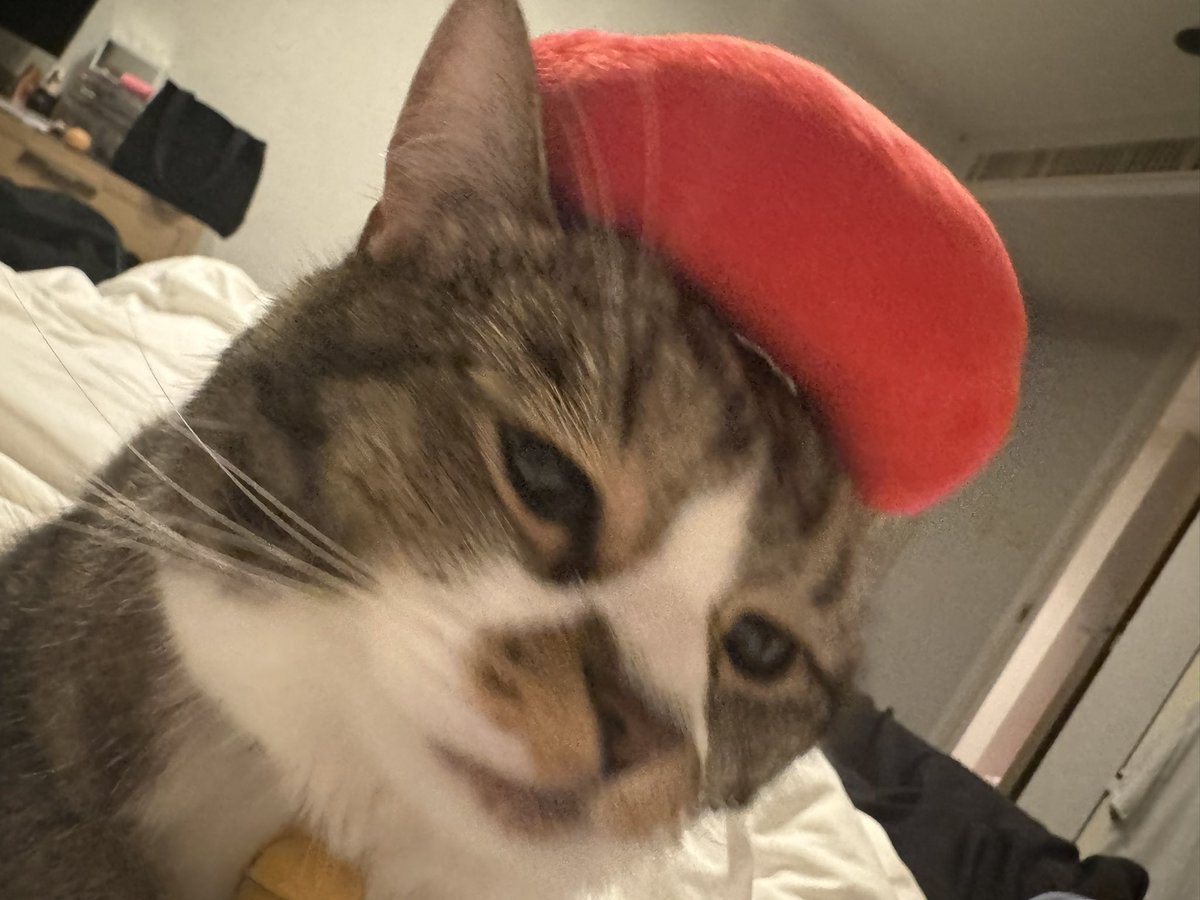 おそごま… https://t.co/9vzZaanUeX