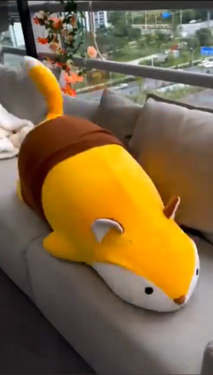 剛剛有推友傳炮機娃娃給我看叫我開箱是怎樣😍
超好笑哈哈哈哈
我還真的花了一個半小時去研究這玩意
怎麼辦有點心動了哈哈哈哈
但這個真的有夠貴
如果有人要買給我我就開箱😂😂

以下是影片截圖
娃娃長這樣那麼可愛結果裝按摩棒上去真的有夠荒謬哈哈哈哈 https://t.co/3jmxSTZWtI