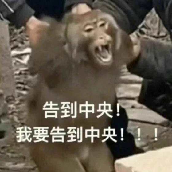 小马 我不允许你再给我不满意的图片推流 我喜欢的你为什么不推！为什么！ https://t.co/YgGQsGFIJL
