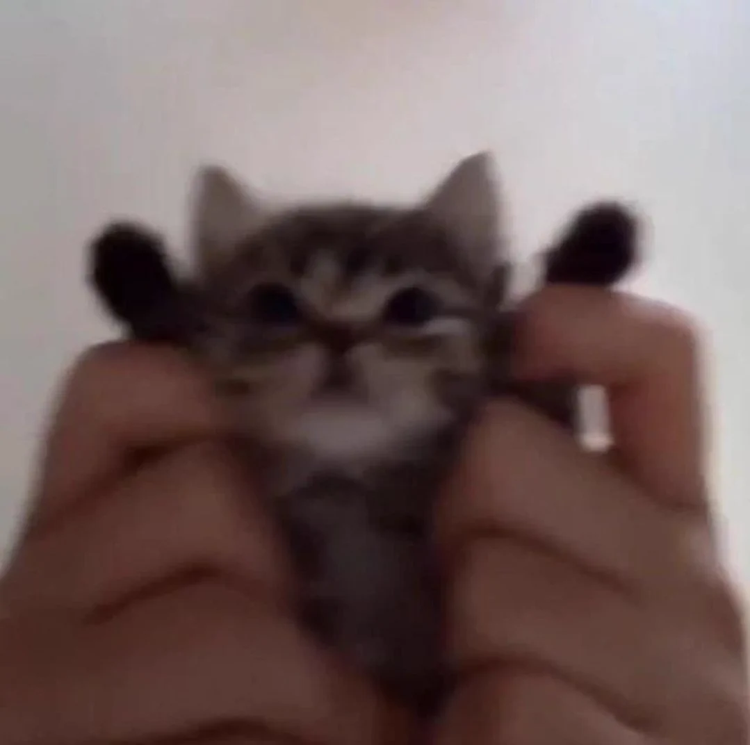 Behold! https://t.co/AriD7pjqT2