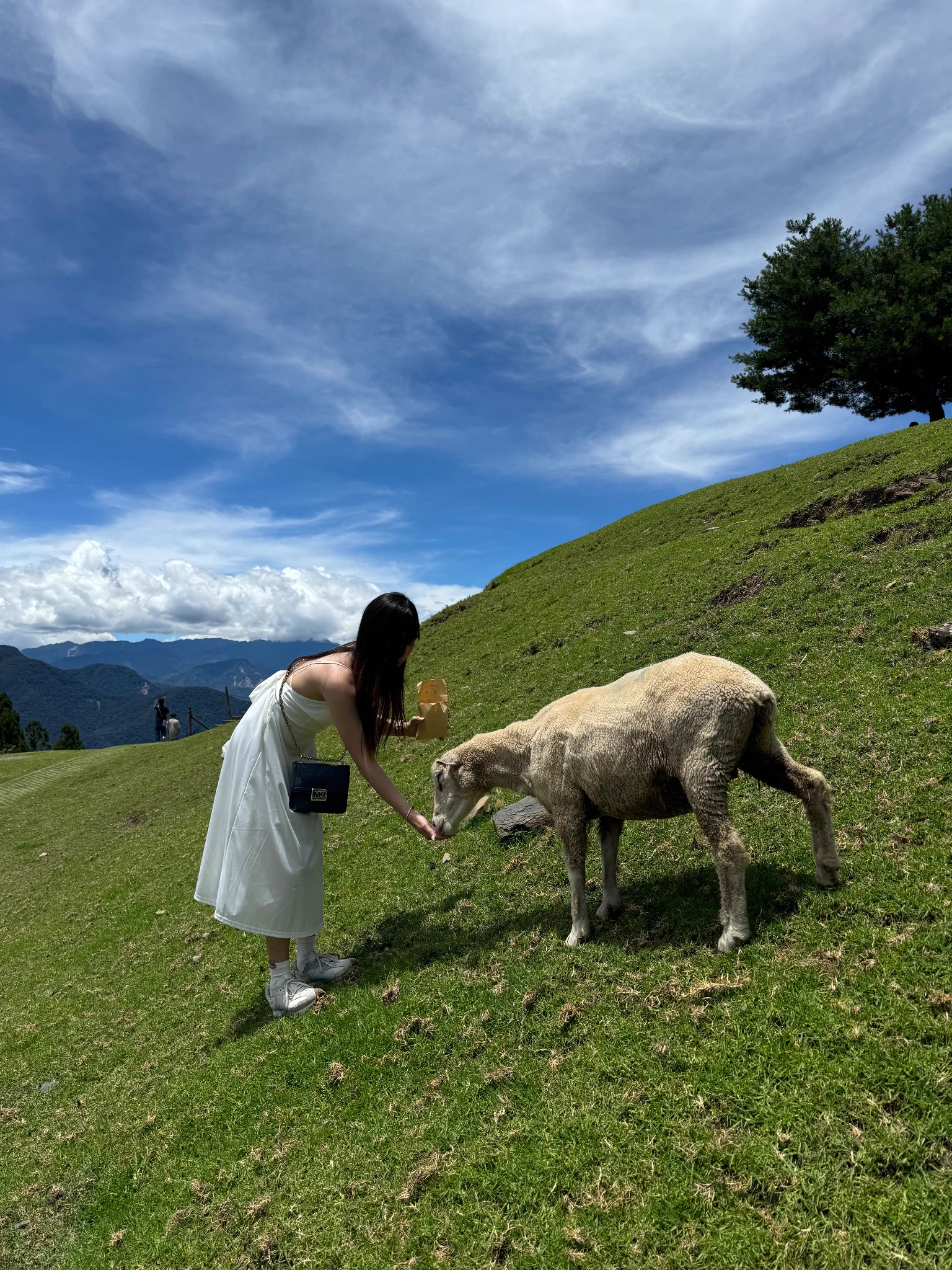 看 咩 🐑 https://t.co/eDR5haMfYW