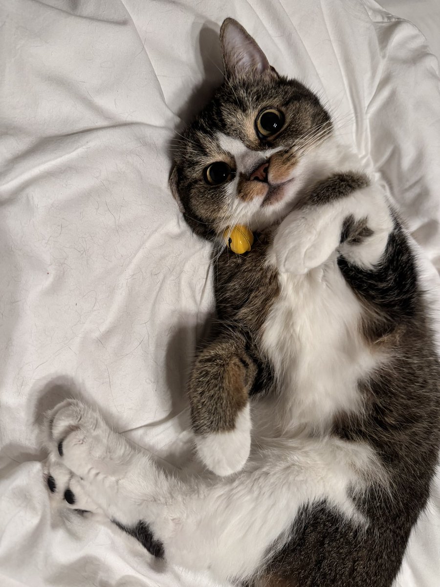 おそごま https://t.co/GkjI6Gnbzm