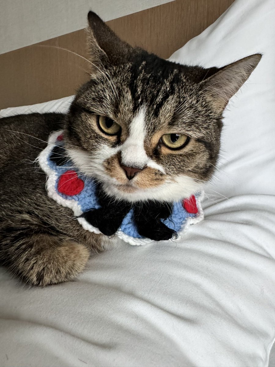 おはごま https://t.co/mdxZq9Xy0N