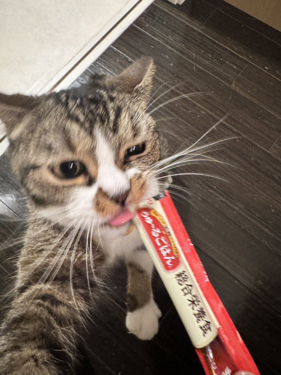 おはごま🍚 https://t.co/cAWJFNHdIn