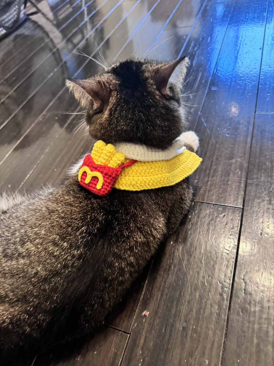 おはごま https://t.co/nhtXlMzf7U