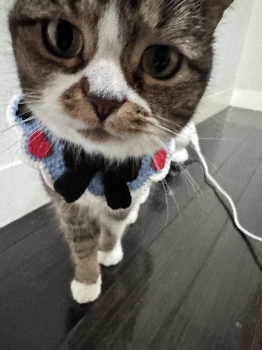 おはごま… https://t.co/TBPuW5czgz