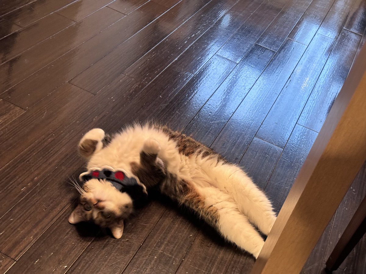 おはごま… https://t.co/EfJiQVoeRN