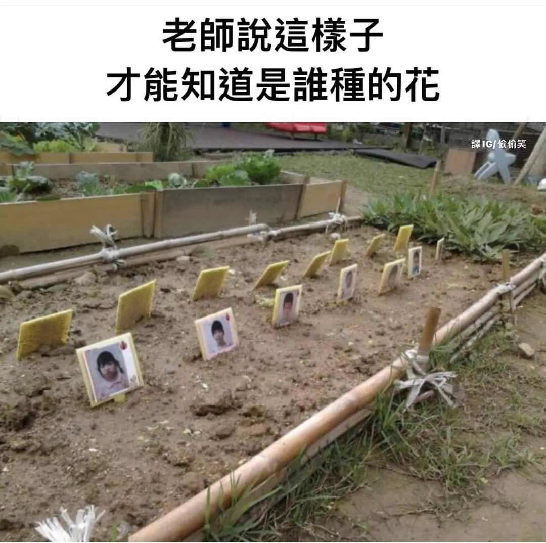 小朋友：種個花而已為什麼我就入土了🤣 https://t.co/JXAqbxJwb7