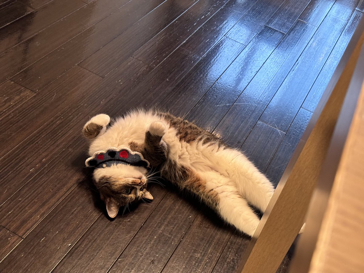 おはごまL https://t.co/UX2q2JCZND