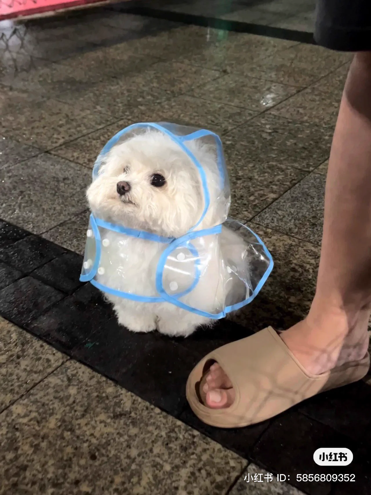 不接稿谢谢🥸 https://t.co/A8XopQUlRo