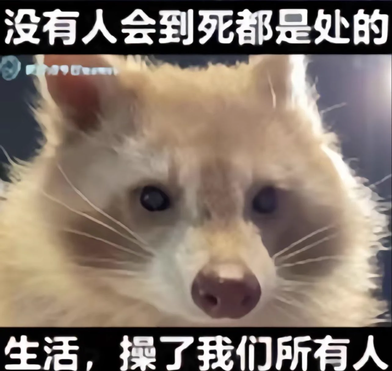 我是個…只能偷偷用蓮蓬頭自慰的小廢物(๑⃙⃘·́ω·̀๑⃙⃘)੨#台北 #小廢物 https://t.co/PS7AAc1Y1g