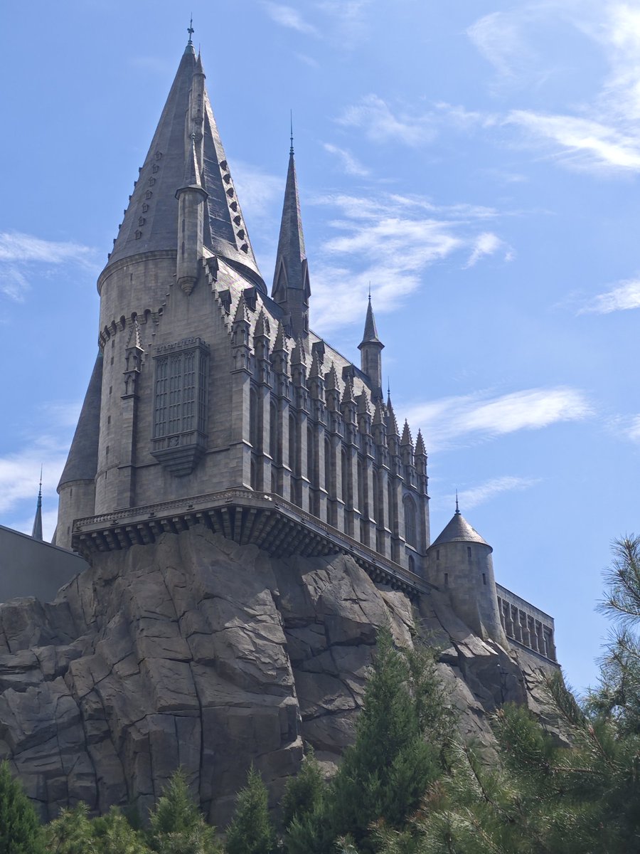 回家了，谁懂 https://t.co/wRpatwXZGh