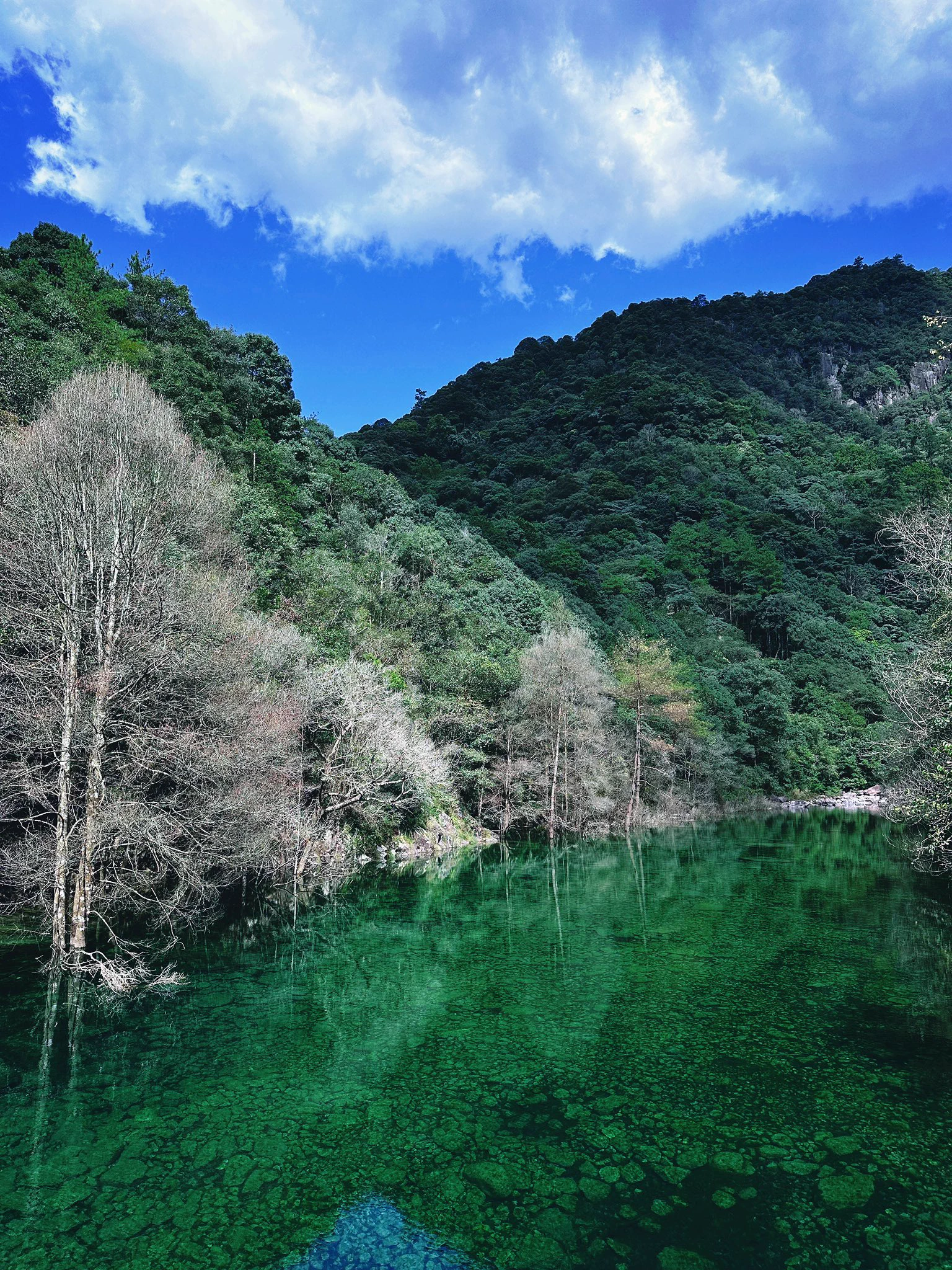 趁着节前人少去武夷山、南平各县玩了一周。景美+人少+天气给力，不亦乐乎。假期不出门，就在厦门好好休息了。 https://t.co/T35Gw1U1Gp