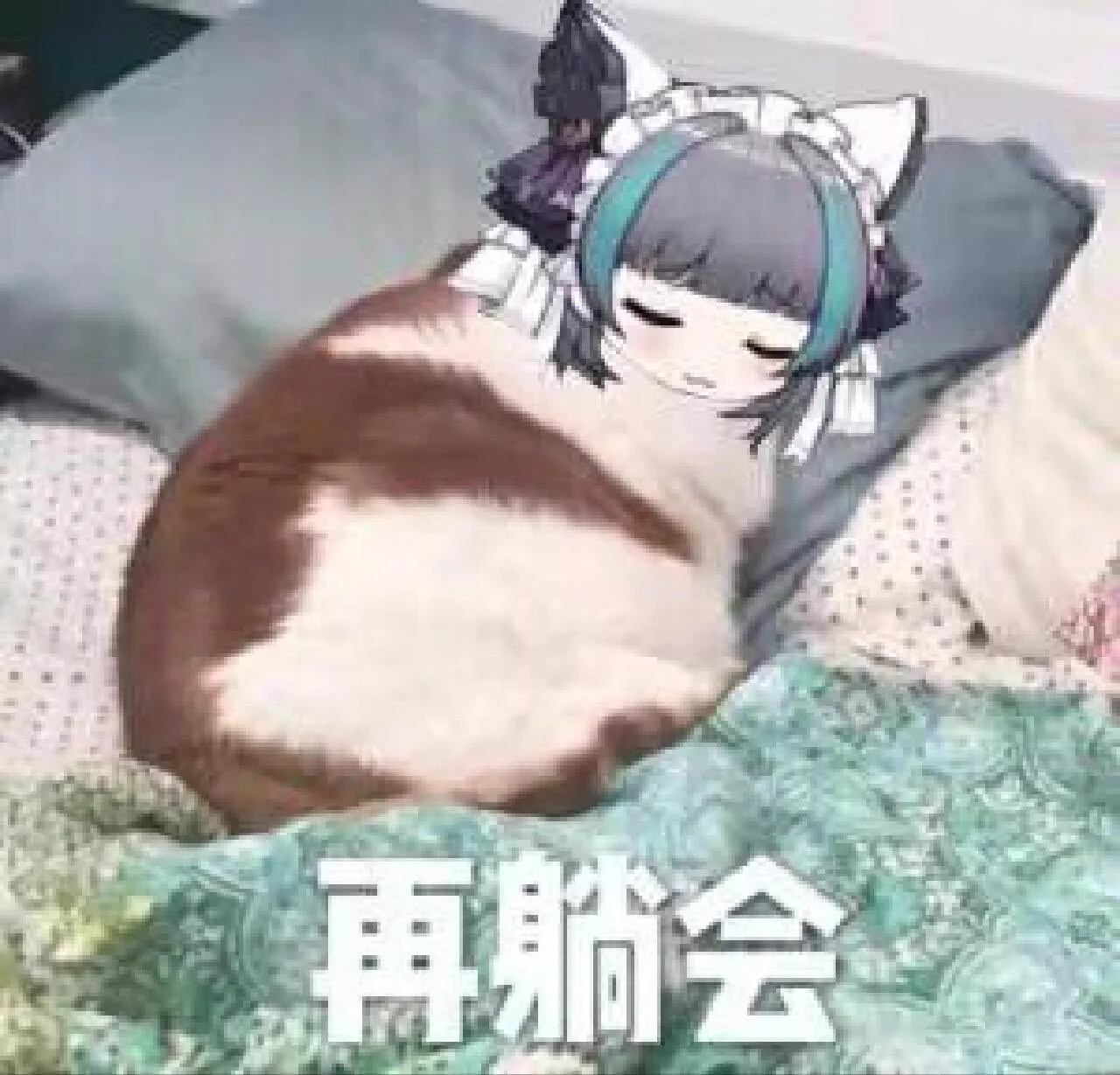 我玩的黄油入🚪可以赠送 https://t.co/f5BJNPBcSH
