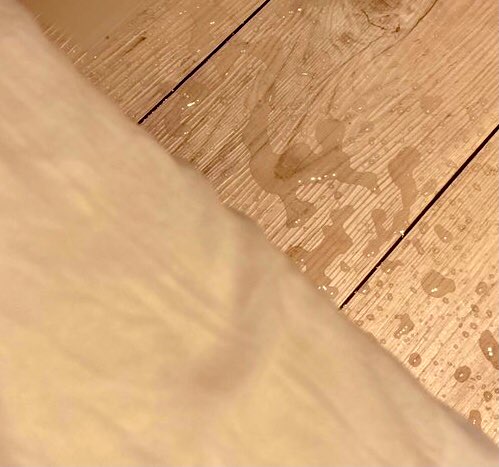 昨晚我自慰流出来的水。 https://t.co/SJoWloNavq