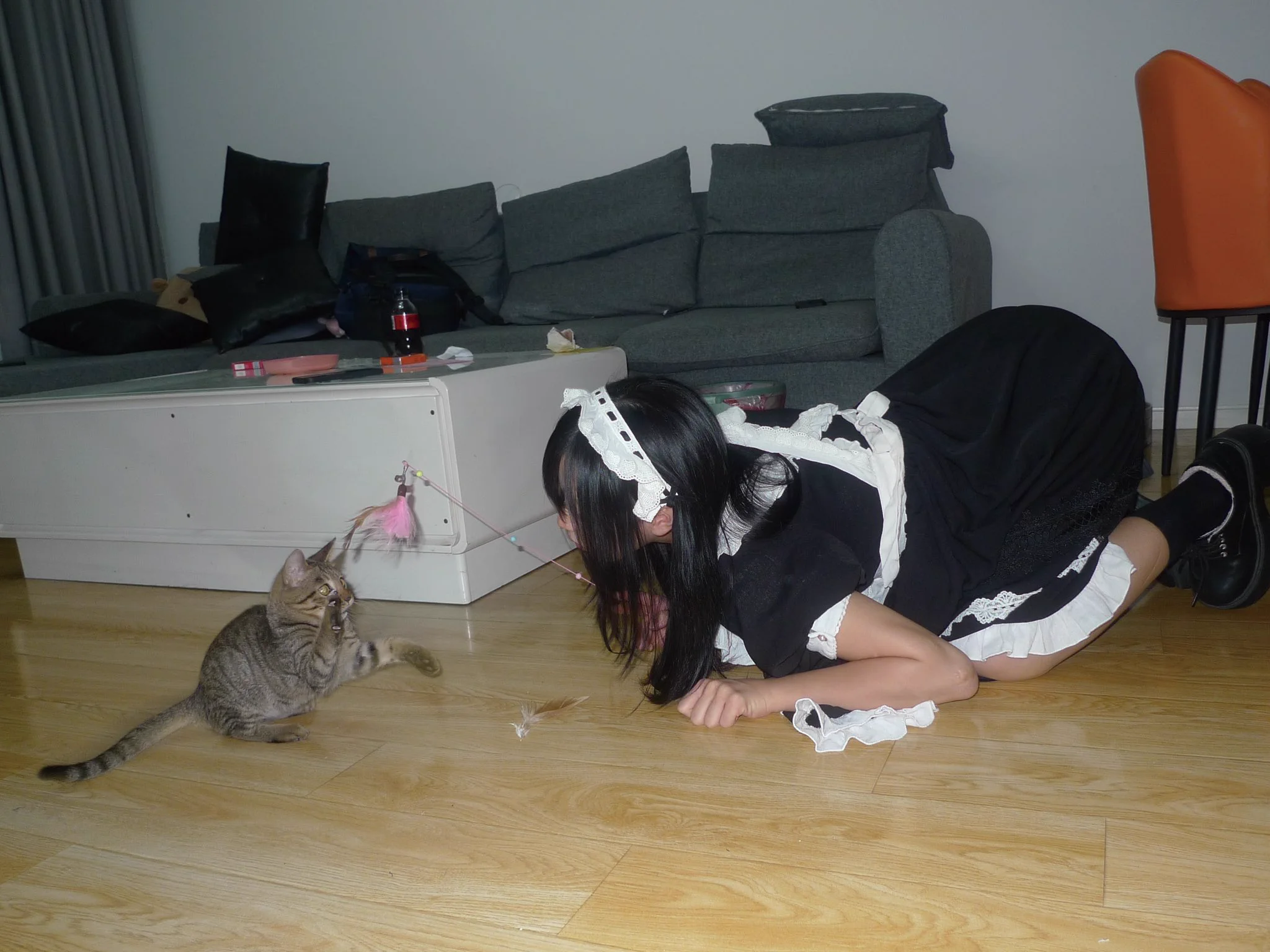 小猫使用了斯派修姆光线 https://t.co/oWPpJMmKWt