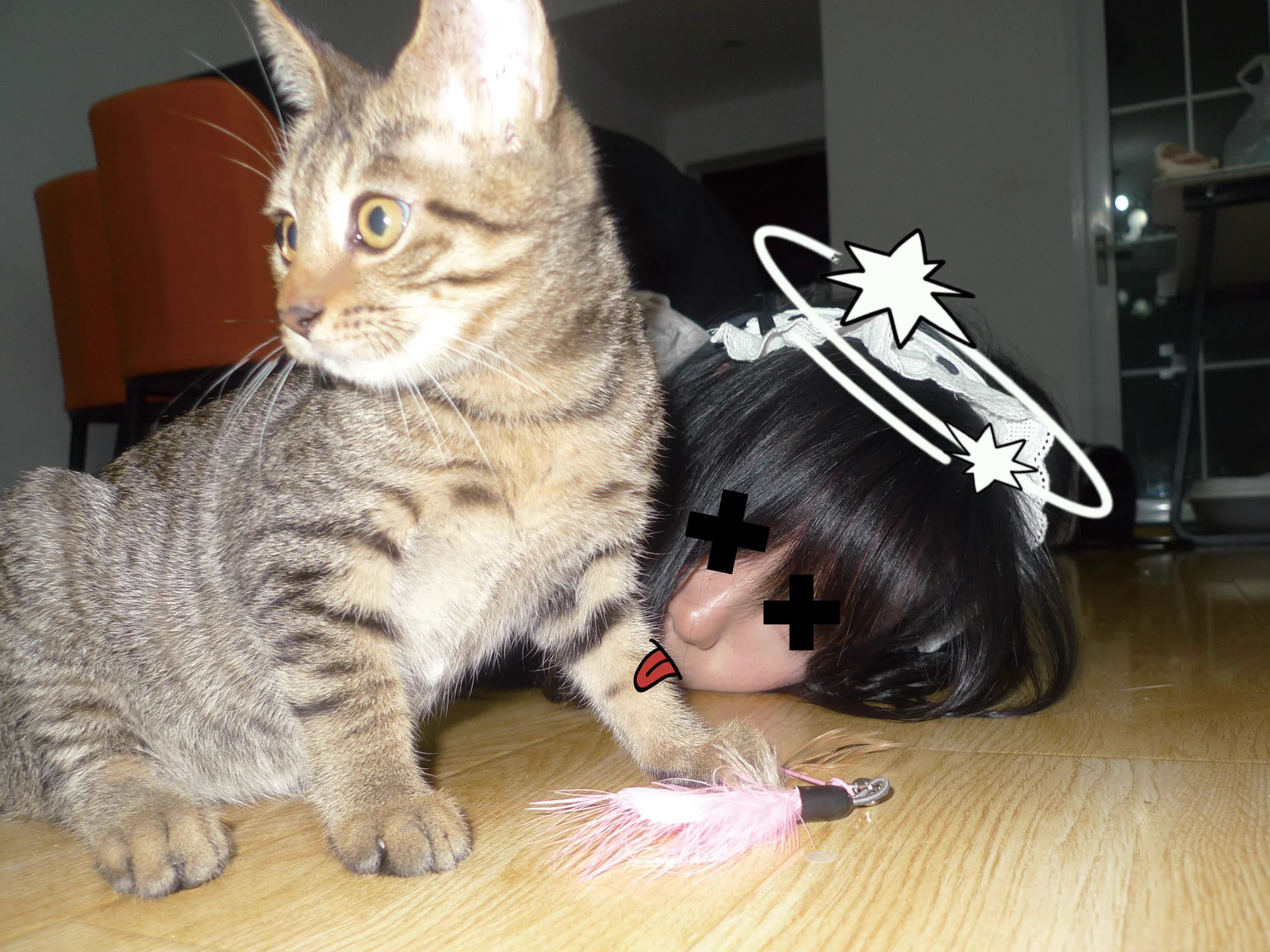 小猫使用了斯派修姆光线 https://t.co/oWPpJMmKWt