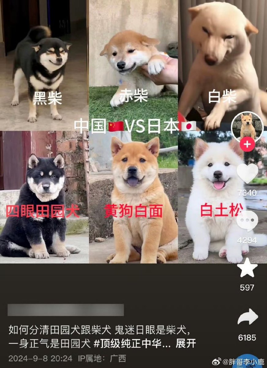 网友问：怎么一堆人模狗样的人，在这里说人家狗狗有人样？ https://t.co/lzCNAimNNa