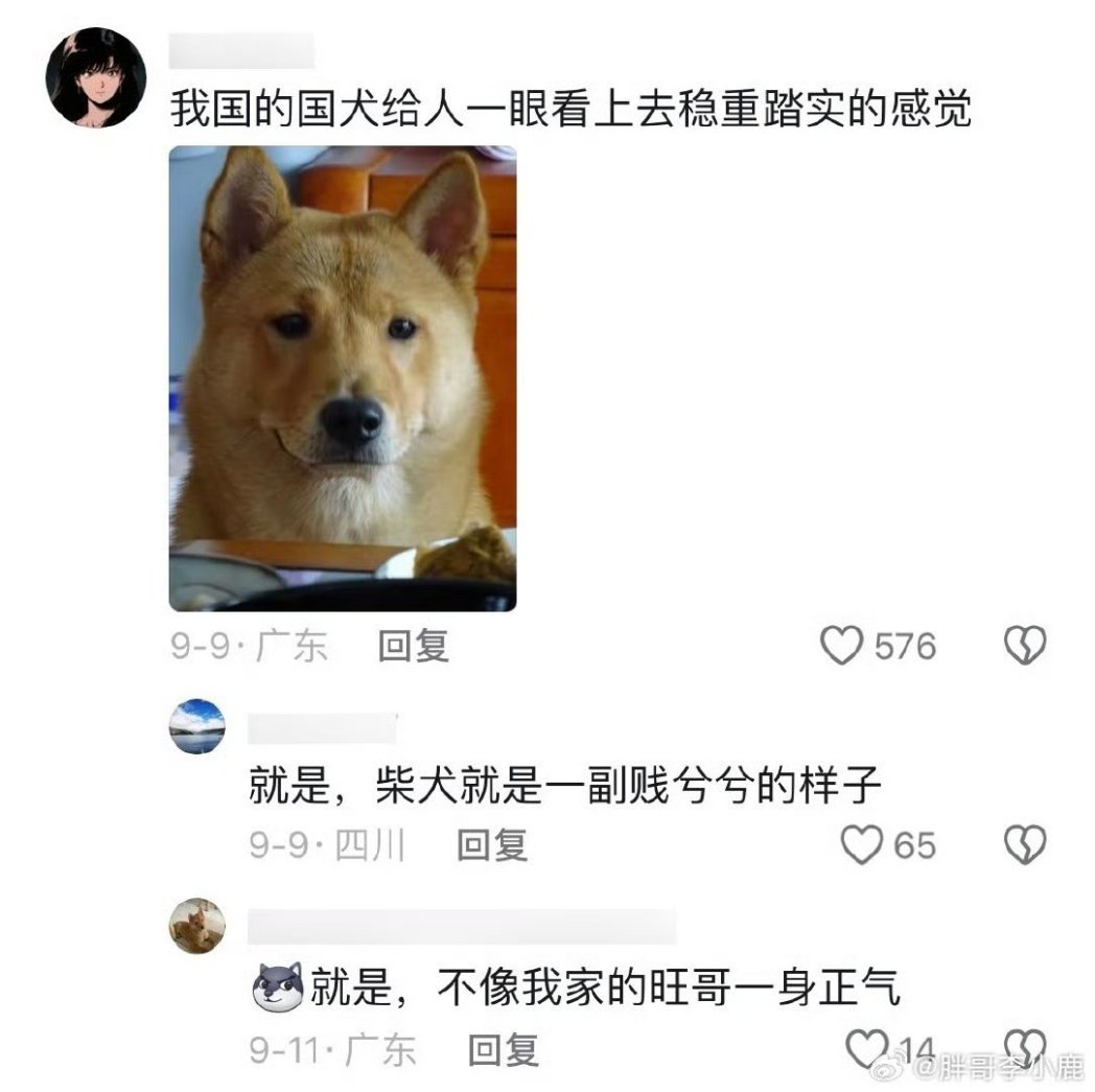 网友问：怎么一堆人模狗样的人，在这里说人家狗狗有人样？ https://t.co/lzCNAimNNa