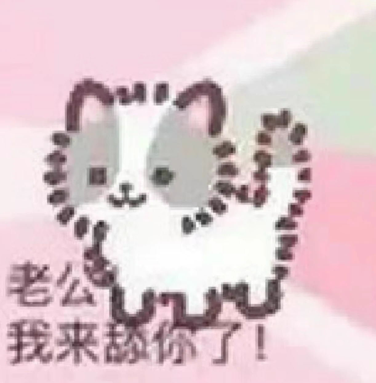 小宝宝我不会放过你的！
我要开始骚扰你了
可以骚扰的好友又get了一个
嘻嘻 https://t.co/TCpYlo7rhc