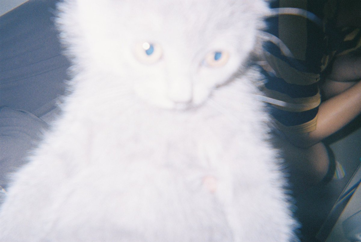 回到22年 https://t.co/1tsplVHrQb