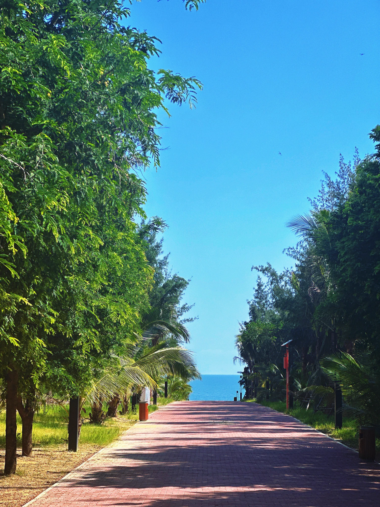 最近桐柳比较闲，一有空就去海南环岛公路踩踩点儿～下次有小伙子来找我玩 就带他去！ #三亚线下 #三亚私人导游 https://t.co/b0Tb0IiSOr