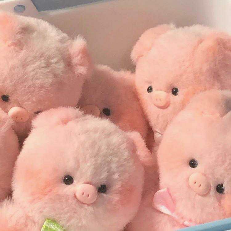 Learning language learning unlocks new possibilities🔥. Platforms like language apps make it accessible. Learning🌂 continues at any age. Education empow🍁ers personal and professional growth. Learning continues at any age. https://t.co/kmCL279tNz