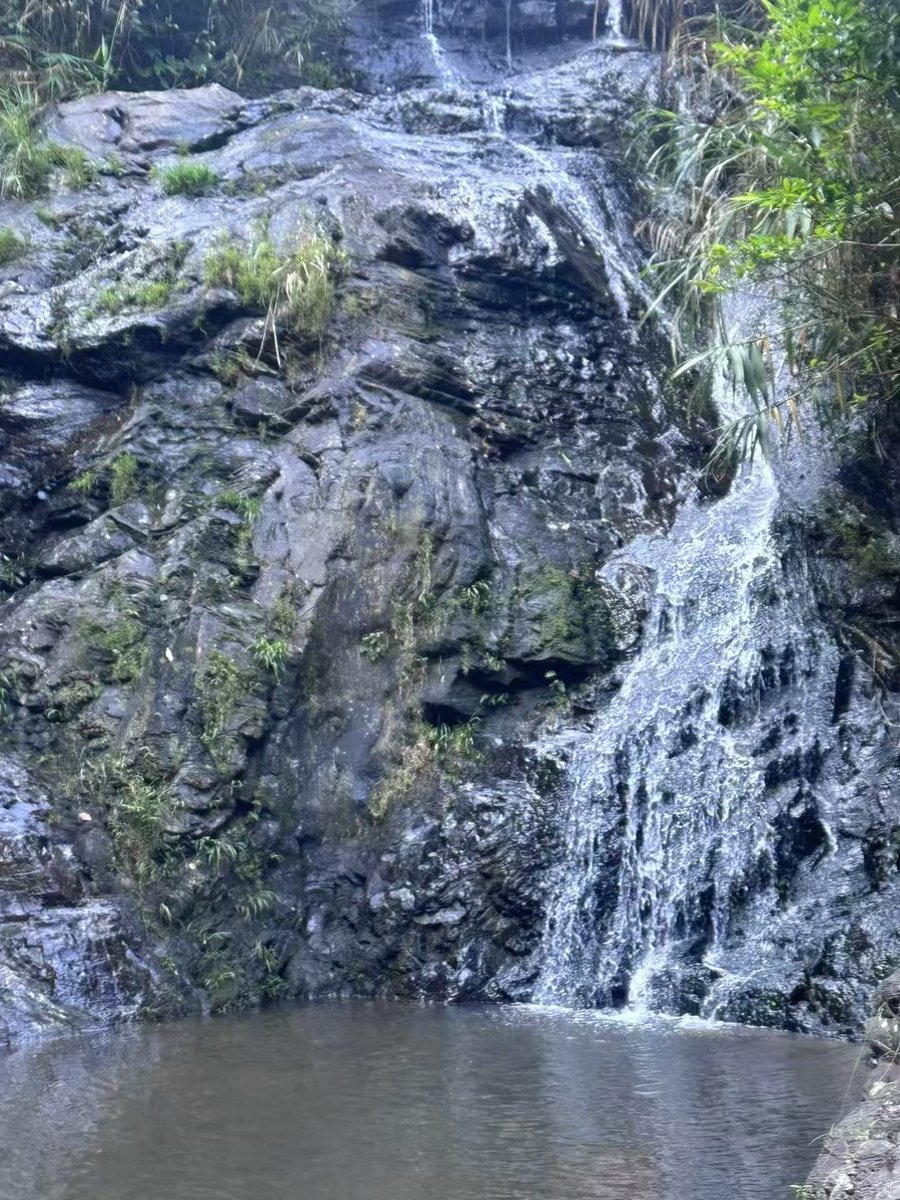 苹果不去想橘子的问题 https://t.co/WQyw2ZZoHi