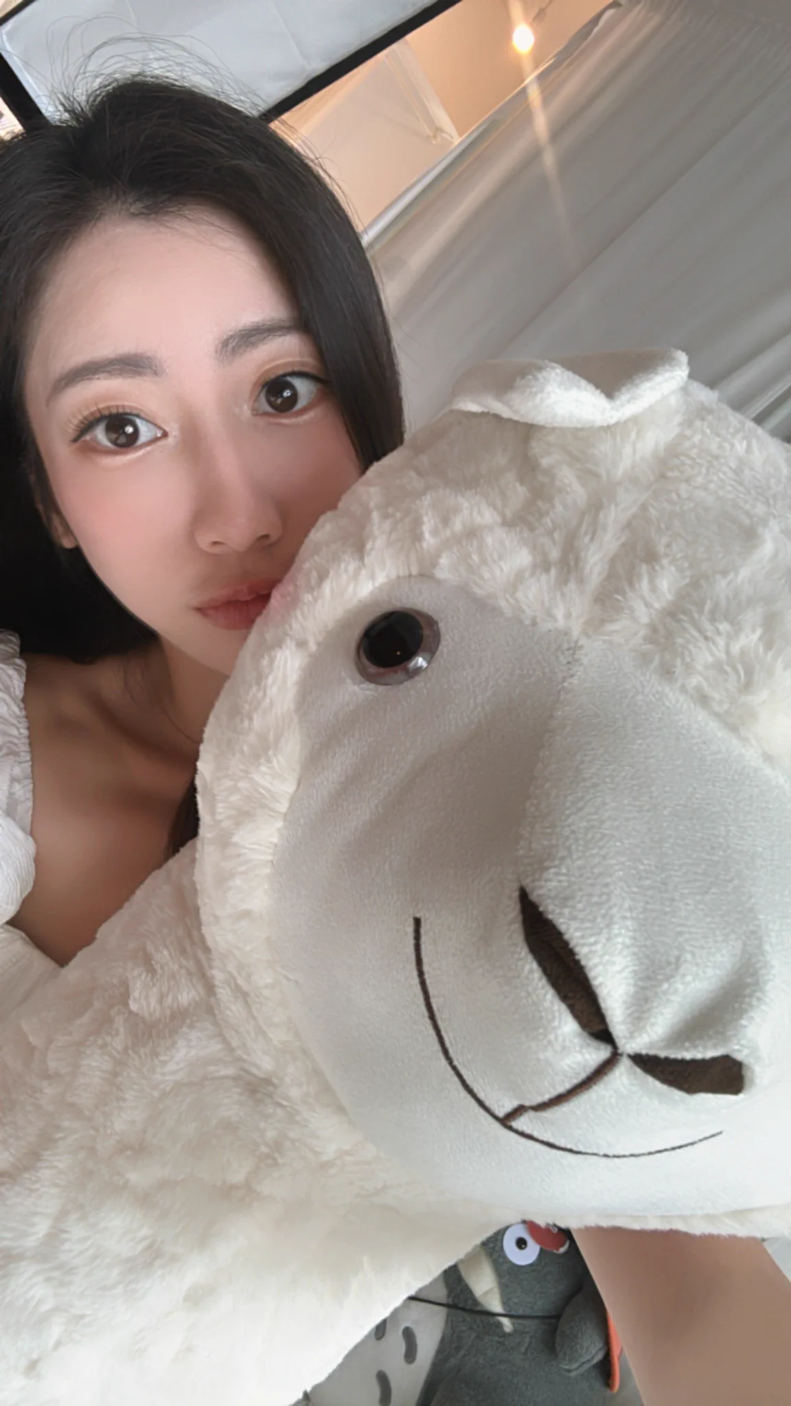頭比我還大的草尼馬🦙🦙 https://t.co/0eHta7w3W7
