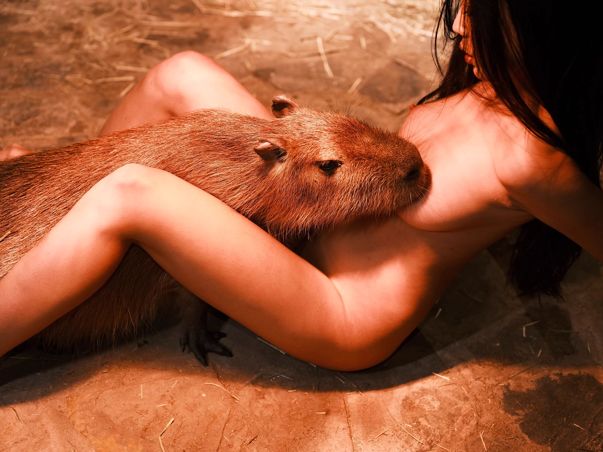 Capybara@haiyangself1 https://t.co/rvENHa0b0e