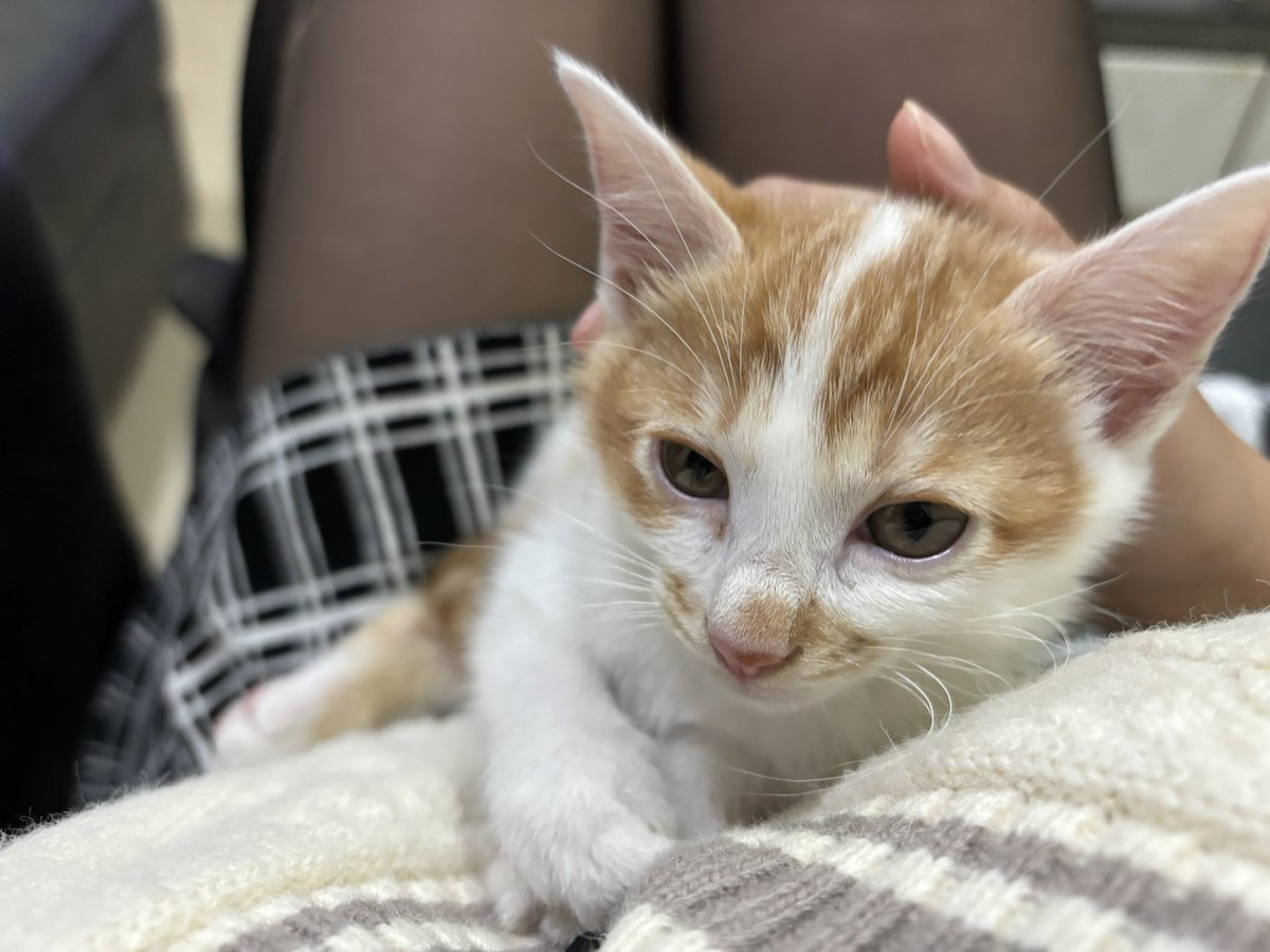 @BearHunterxx 生日快樂！！
目前想到應該是最喜歡這張 https://t.co/zmB42gnUkS