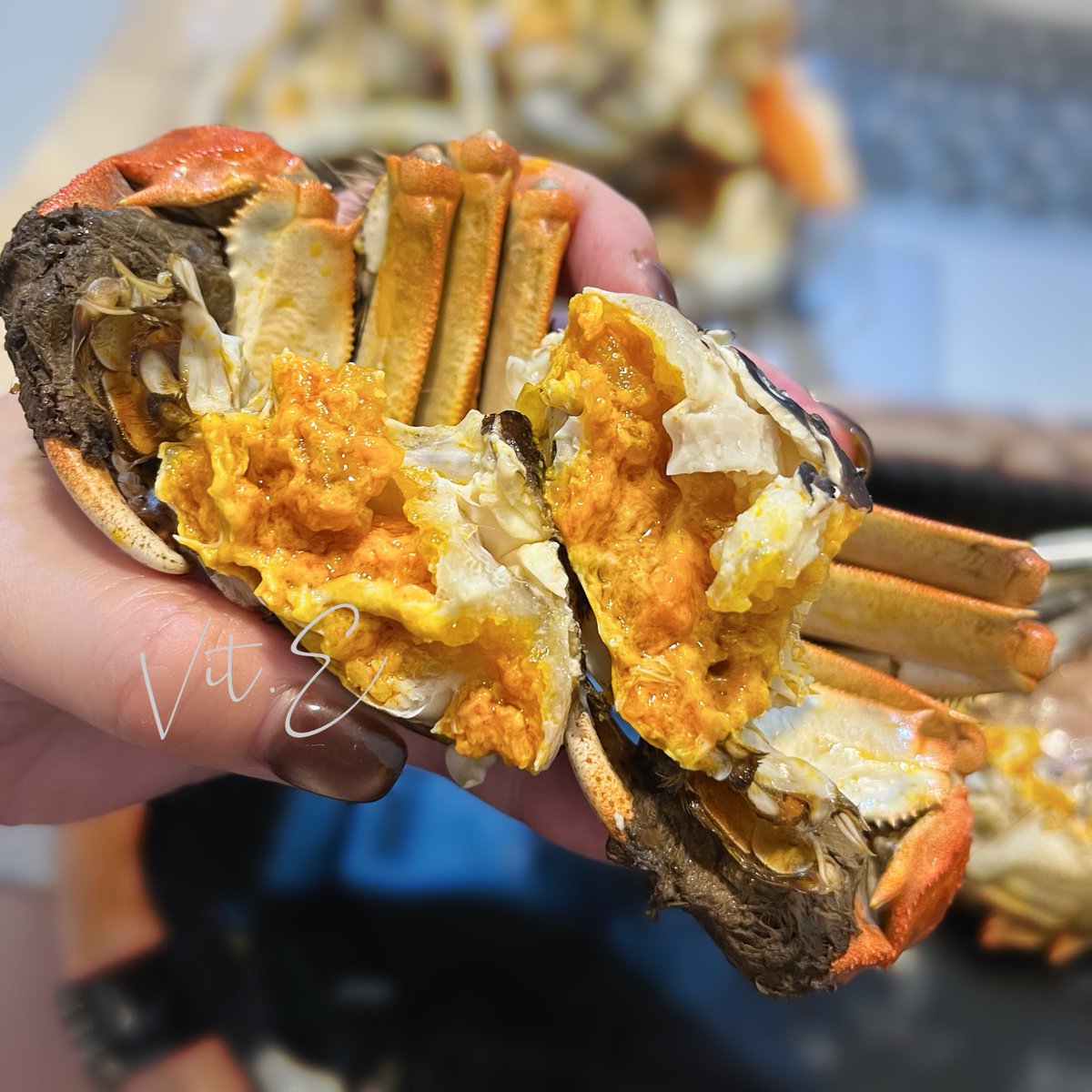 水產批發確定不找我業配嗎🥹

專業拍攝、專業測評
還專業吃給大家看（？
🦀

#OL吃什麼 #大閘蟹 

產季到月底 
還沒吃的快去吃！ https://t.co/X0dwUa5VVj