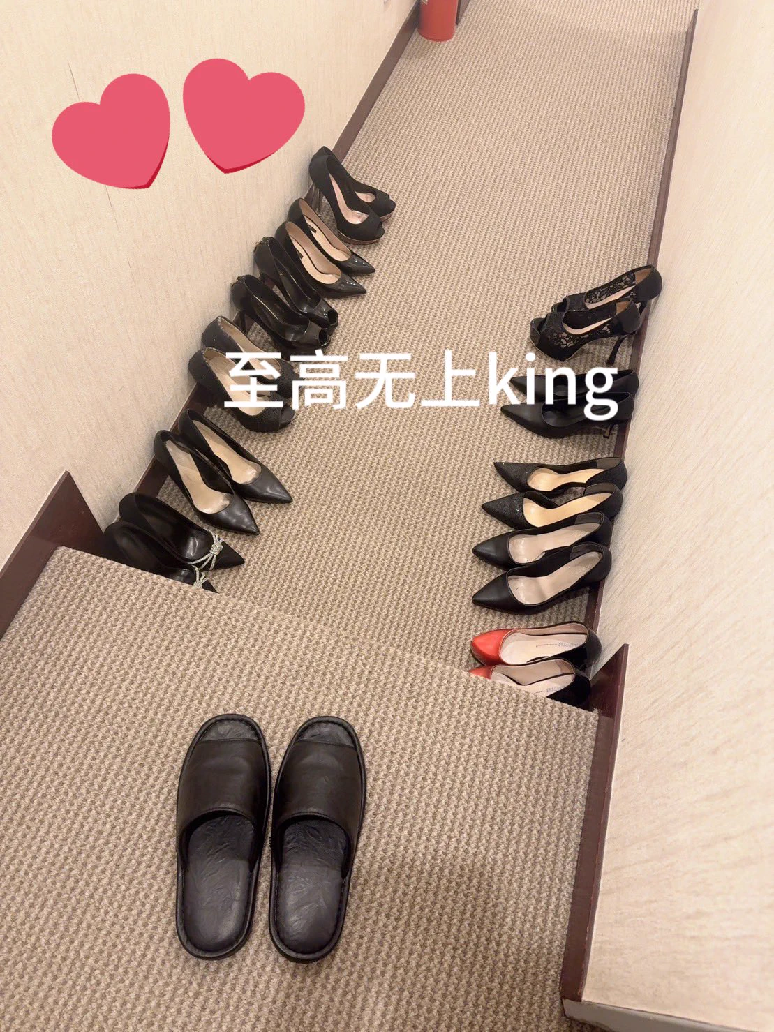 #多奴 #harem #haremking 不尝试阶级性的男尊女卑多奴关系 枉为男人 我只是要成为现代的皇帝 国王 追随者自然追随 https://t.co/EEh8Uy5aFm