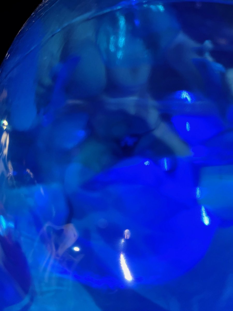 見えちゃってるハイライト2024
(いいねで保存★) https://t.co/TSG9osjRkX